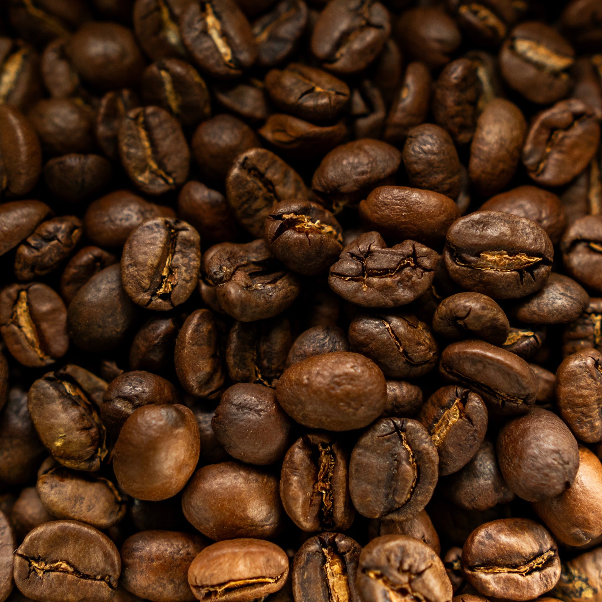 Roasted Huehuetenango coffee beans from the May Dōn Coffee drop